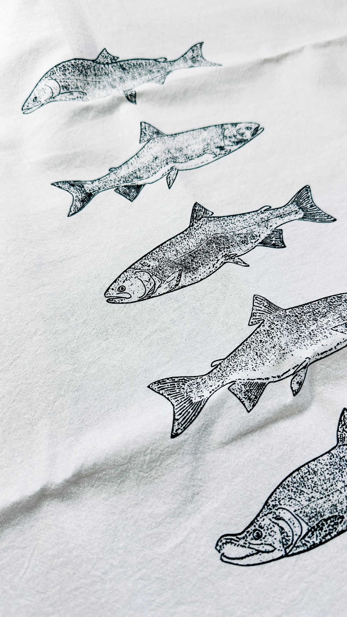 Salmon Species Tea Towel