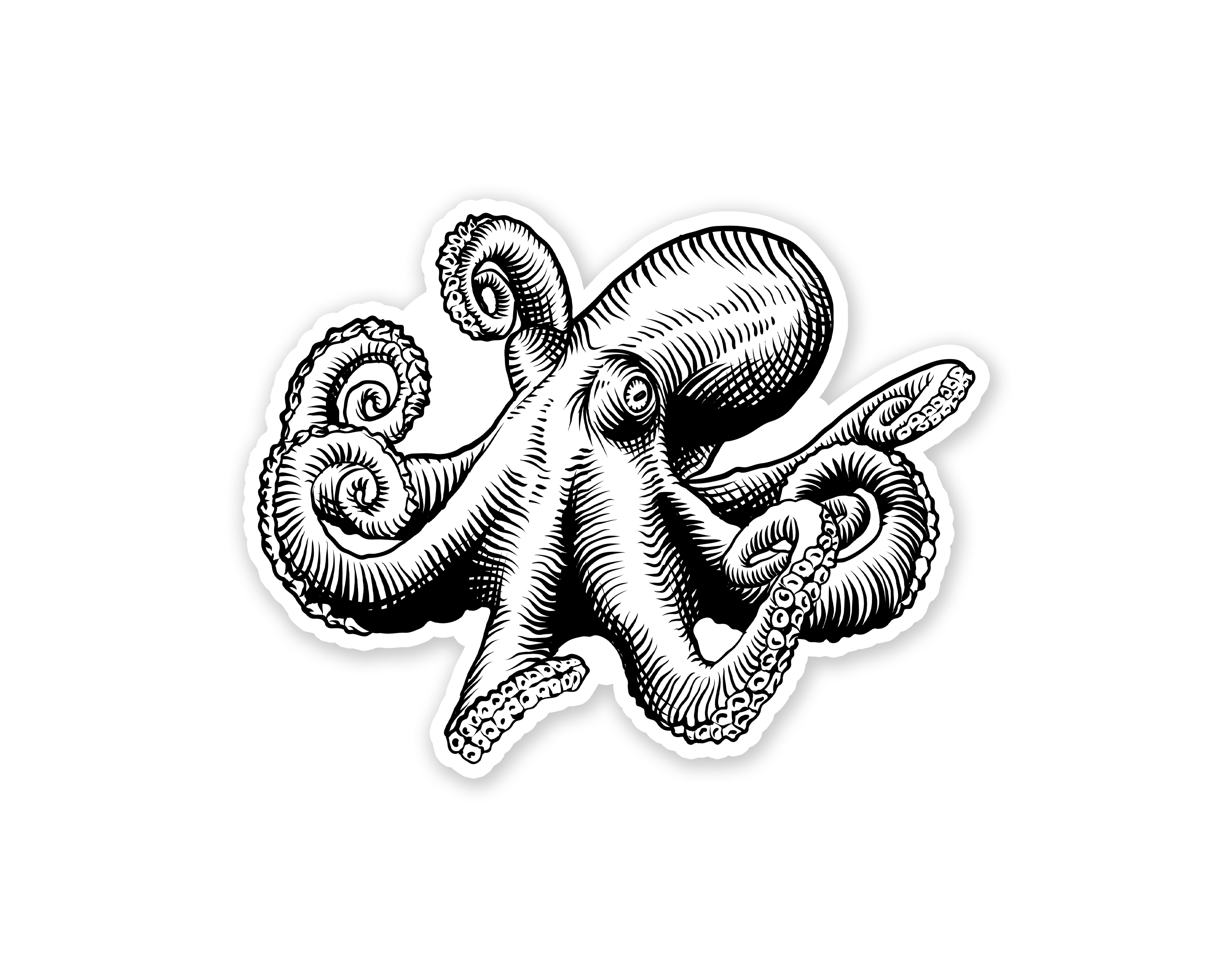Octopus Sticker