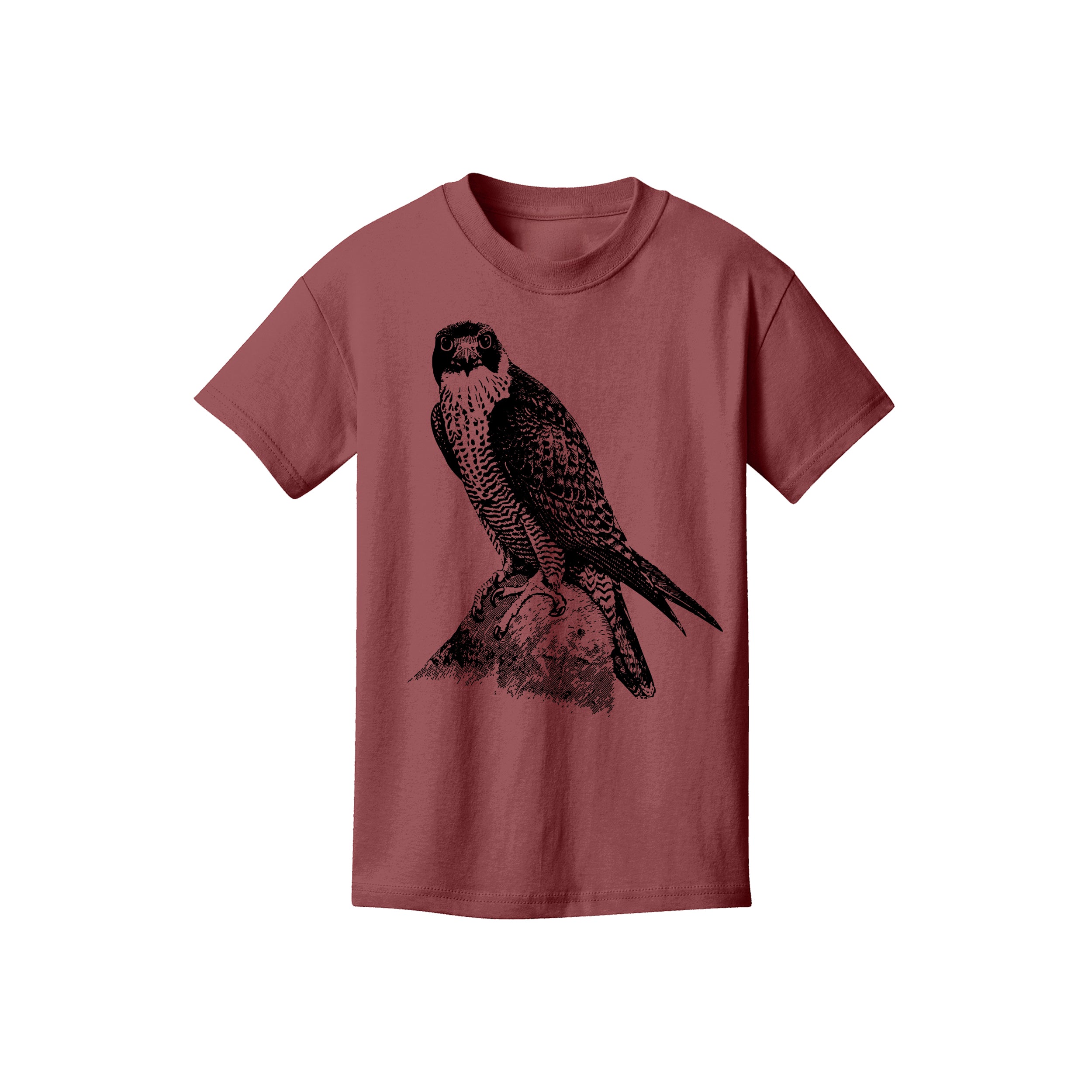 Peregrine Falcon Kids Tee