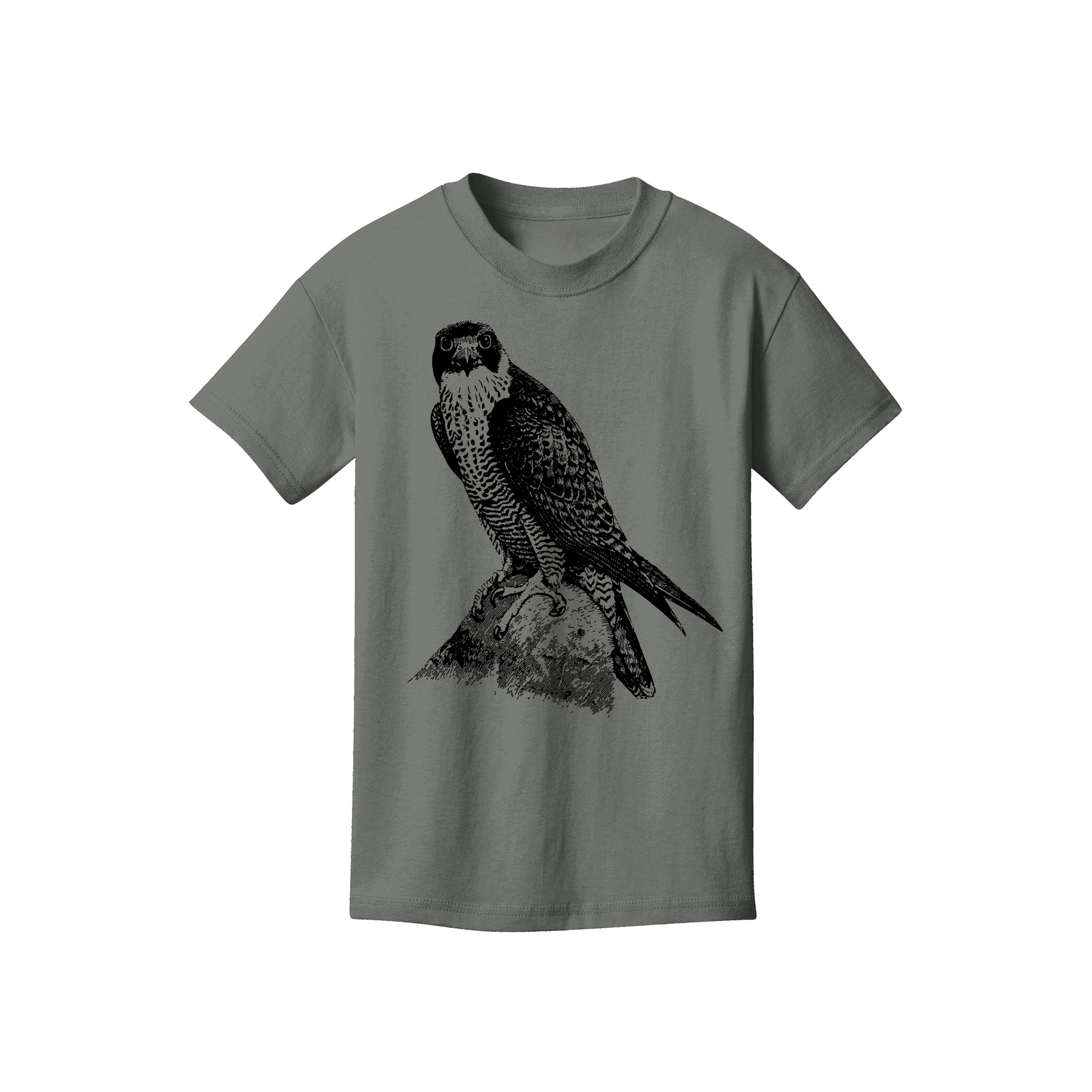 Peregrine Falcon Kids Tee
