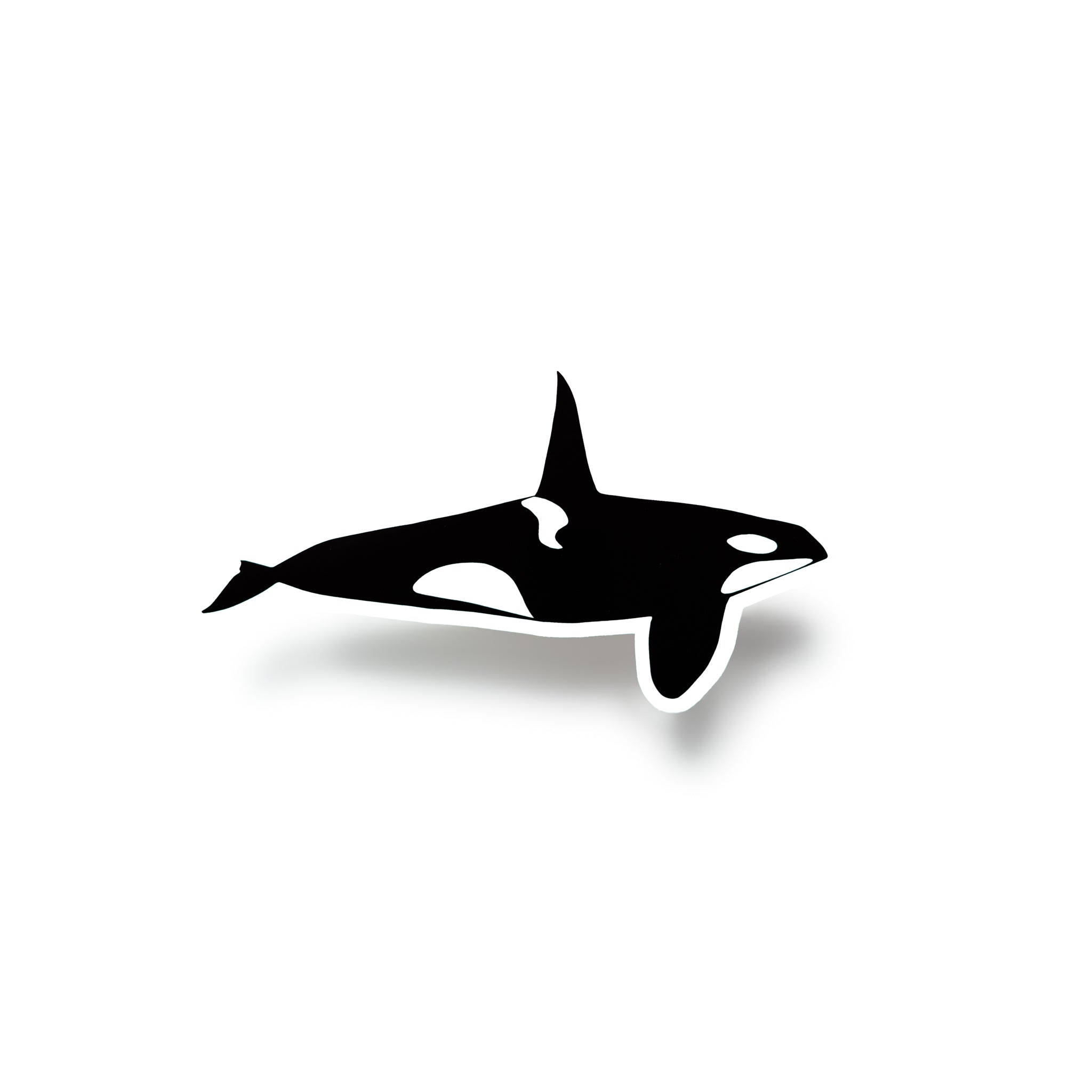 Orca Sticker
